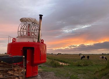 Tiny house with most beautiful hot tub in the netherlands - 5