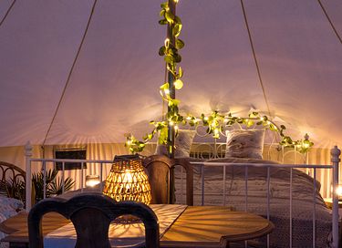 Glamping tussen de alpaca's - 5