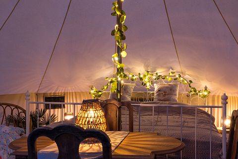 Glamping tussen de alpaca's - 5