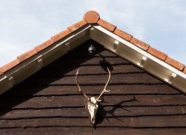 Luxe vakantiehuis bij het bos voor 4 pers.  - 34
