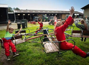 Glamping op een paardenboerderij - 9