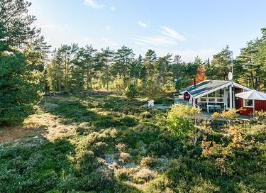 Gezellig vakantiehuis midden in het bos - 14