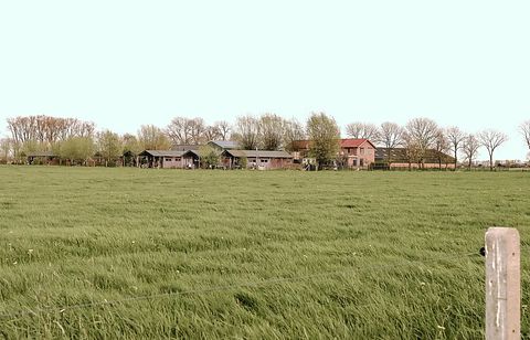 Comfortabel tenthuisje op gezellige boerderij - 2