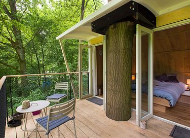 Boomhut Suite - 2