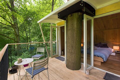 Boomhut Suite - 2