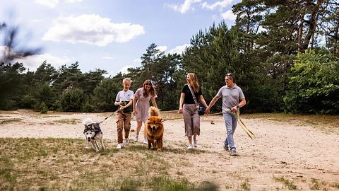 Luxury lodge in the Veluwe with hot tub or sauna - 5