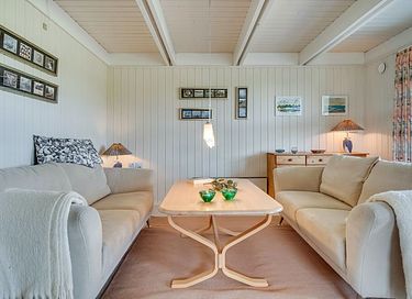Rietgedekt vakantiehuis in Denemarken - 23