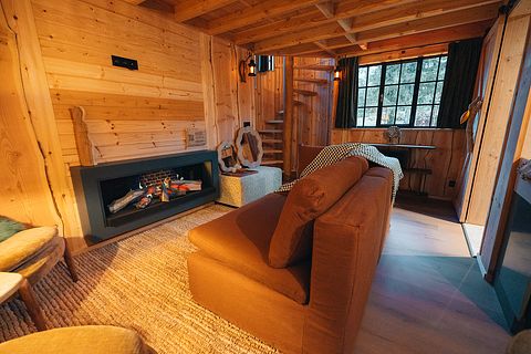 Treelodge avec sauna dans les Ardennes - 4