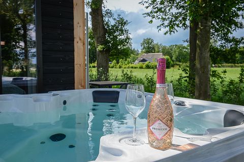 Pavillon de bien-être - jacuzzi, sauna et douche solaire - 4