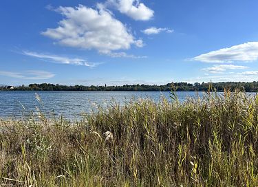 Ruim vakantiehuis (6p) in duitsland - 37