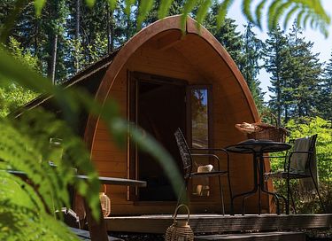 Luxury Pod in the middle of the forest - 3