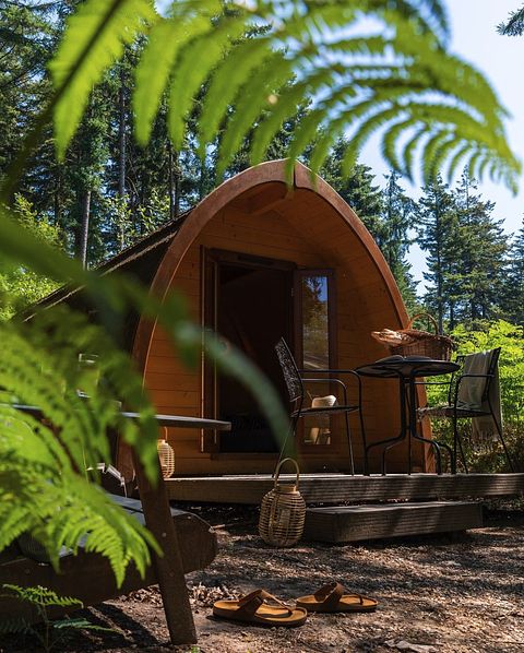 Luxury Pod in the middle of the forest - 3