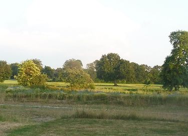 Prachtige cottage in Duitsland - 6