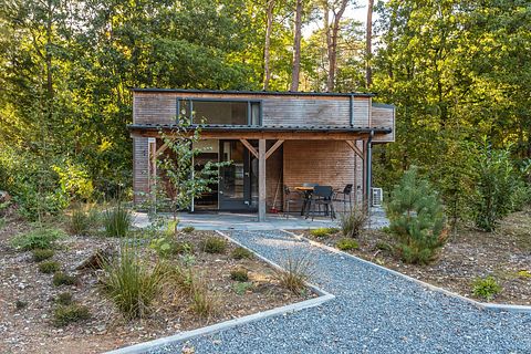 tiny house confortable dans une région boisée - 2
