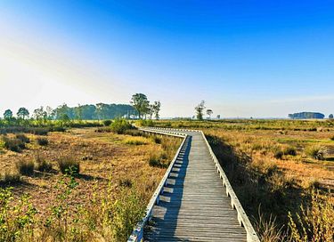 A Lovely Holiday Home in the Drenthe Countryside - 68