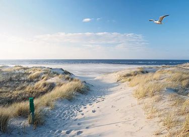 Modern vakantiehuis met eigen sauna (14p) - 26