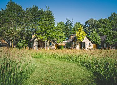 Luxe tiny house in prachtige groene omgeving - 15