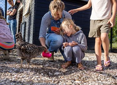 Glamping op akkerbouw en speelboerderij - 12