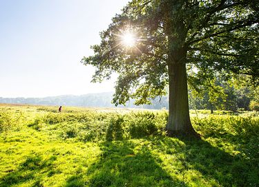 Uniek glamping verblijf (4p) in Limburg - 26