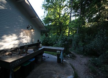 Glasjurte im Wald - 26