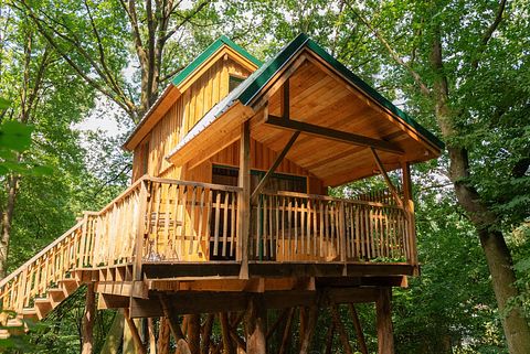 Romantic overnight stay among the trees - 3