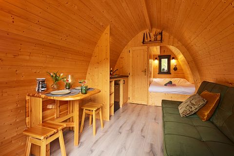 Luxury Pod in the middle of the forest - 4