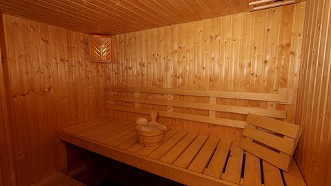 Luxury vacation home in Germany with sauna - 5