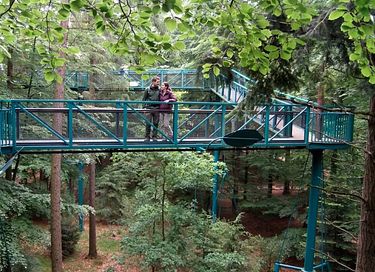 Un séjour spacieux à la cime des arbres, dans la province de Drenthe - 26