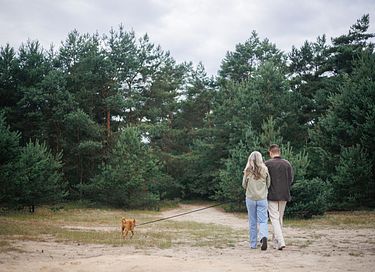 Dog-friendly wellness lodge in the Veluwe - 29