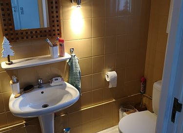 Cottage met hottub - 10