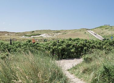 Suite pour 2 personnes avec vue sur les dunes - 17