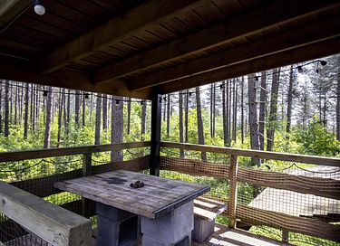 Maison unique dans la forêt avec bain à remous - 3