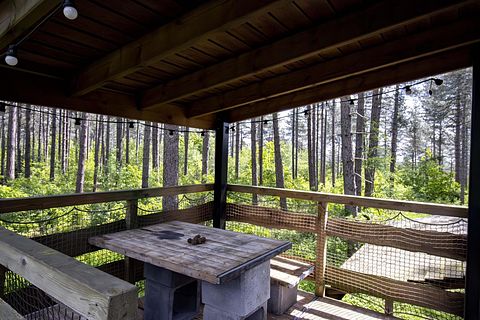 Maison unique dans la forêt avec bain à remous - 3
