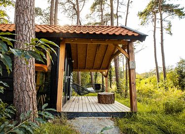 Tiny house omringd door bos en met hottub 