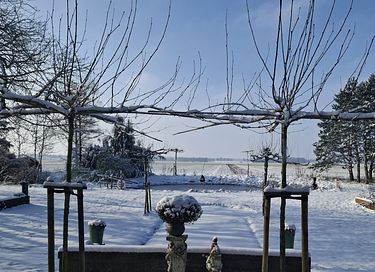 B&B dans une ferme romantique - 26