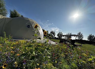 Romantischer Wellness-Aufenthalt in einem luxuriösen Dome - 27