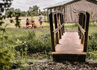 Tent cabin (sleeps 6) in the Groningen countryside - 37