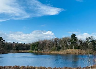 Logement de vacances en bois (4p) à Overijssel - 33