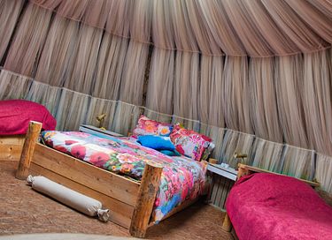 Special stay in a thatch igloo - 8