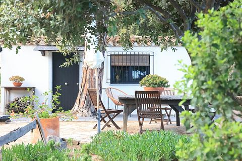 Stimmungsvolle Casita mit Meerblick - 3