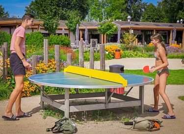 Kinderfreundliche Ferienwohnung in Gelderland - 44