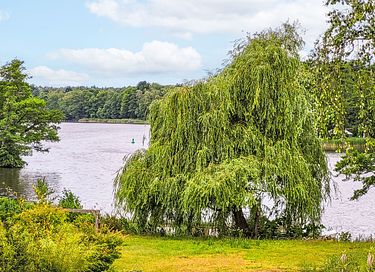 Logement de vacances avec vue sur un lac - 17