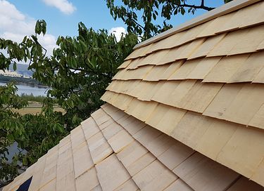 Prachtige boomhut in een oude kersenboom - 21