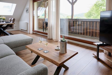 Ruim penthouse met privé wellness en balkon - 3