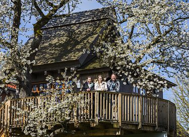 Prachtige boomhut in een oude kersenboom - 14