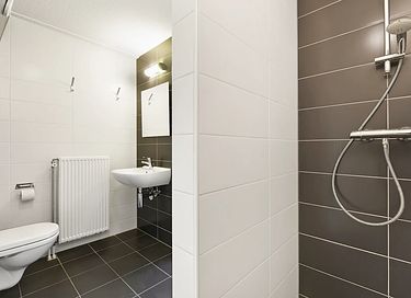 Luxe vakantiehuis (12p) met privé sauna  - 13