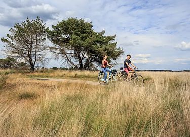 Cozy home in a wooded area - 27