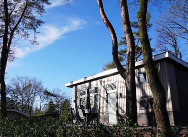 Holiday home in the woods of the Veluwe - 10