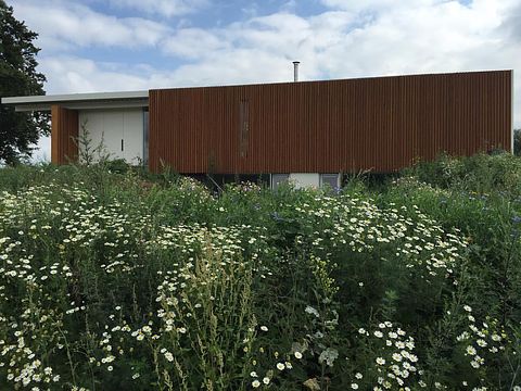 Design B&B in de uiterwaarden van Nijmegen - 2