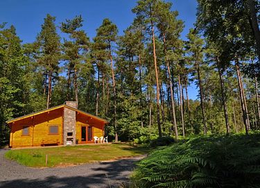 Boshuisje voor 8 personen in de Ardennen - 15